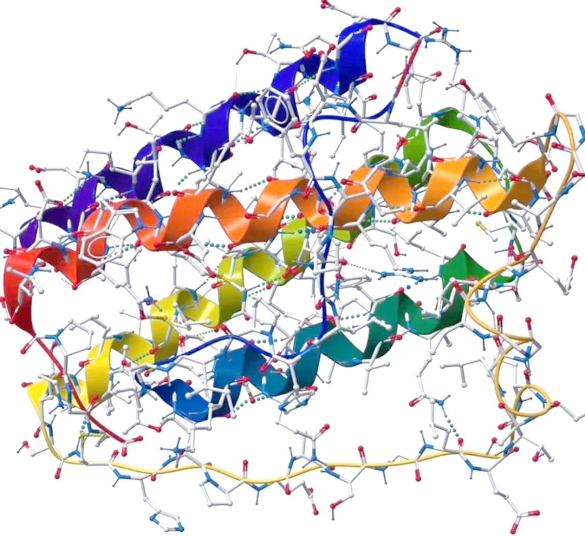 分子模拟分析